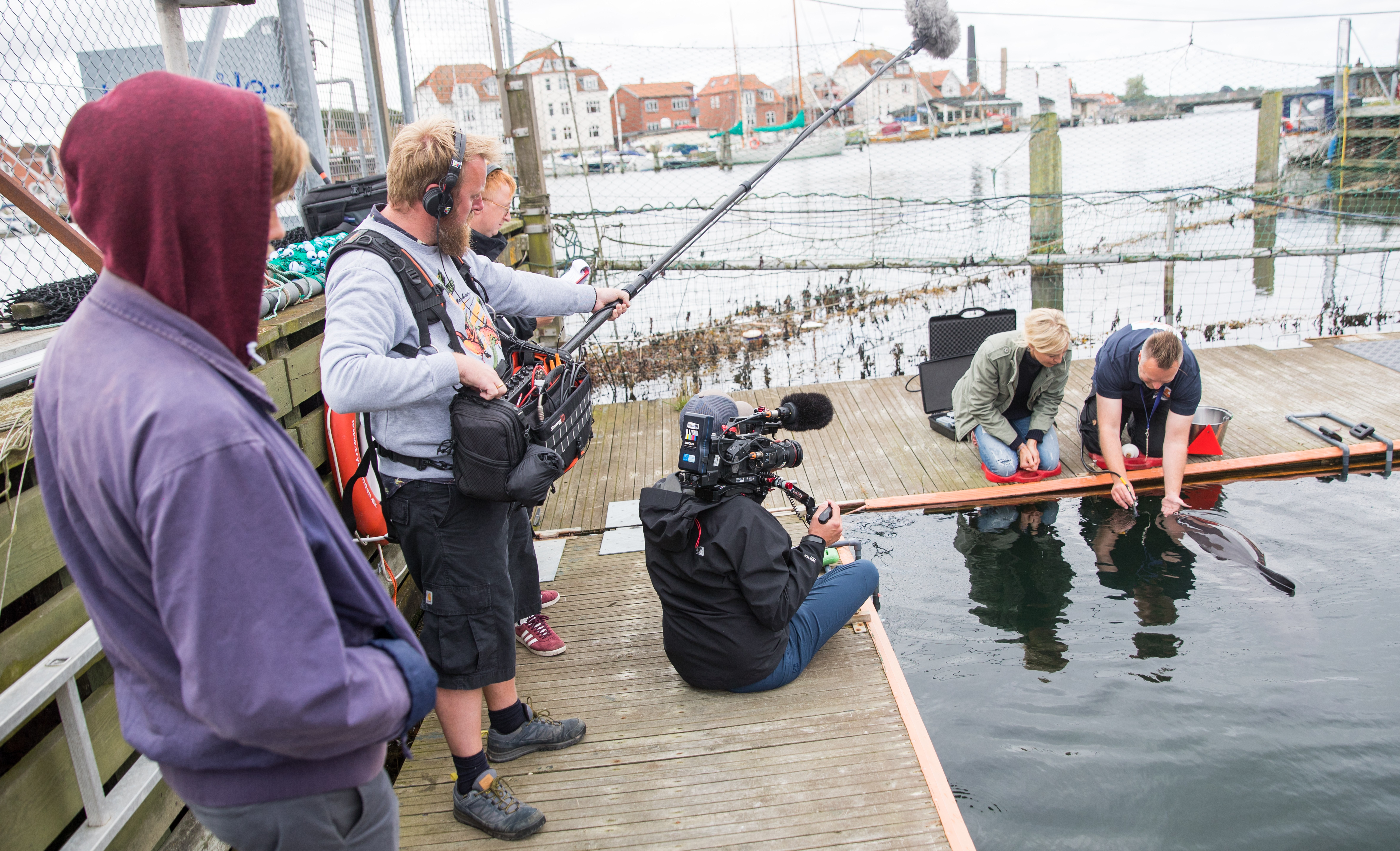 Tv-optagelse fra en havn i Danmark